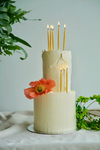 A cream iced two tier cake with woodtown studio bee happy celebration candles adorning it, all lit. Some fern greenery in the background, A peach poppy is on the side of the cake.