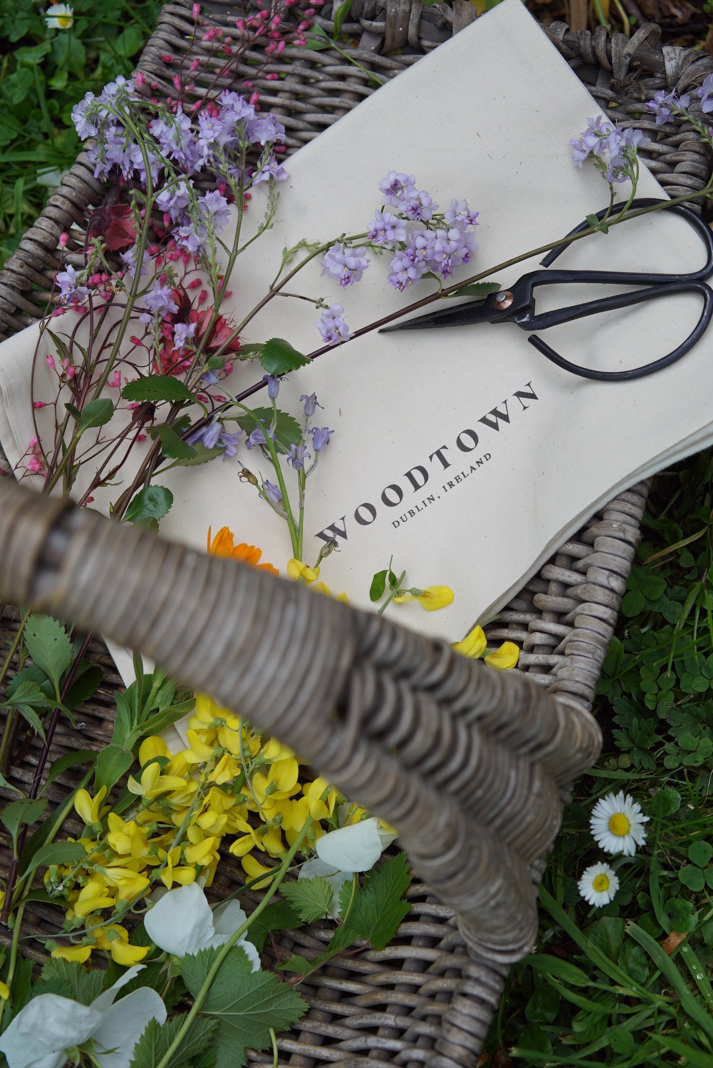 top down image of a woven basket with a cotton Woodtown branded bag, black scissors, and foraged picked garden flowers laid in it