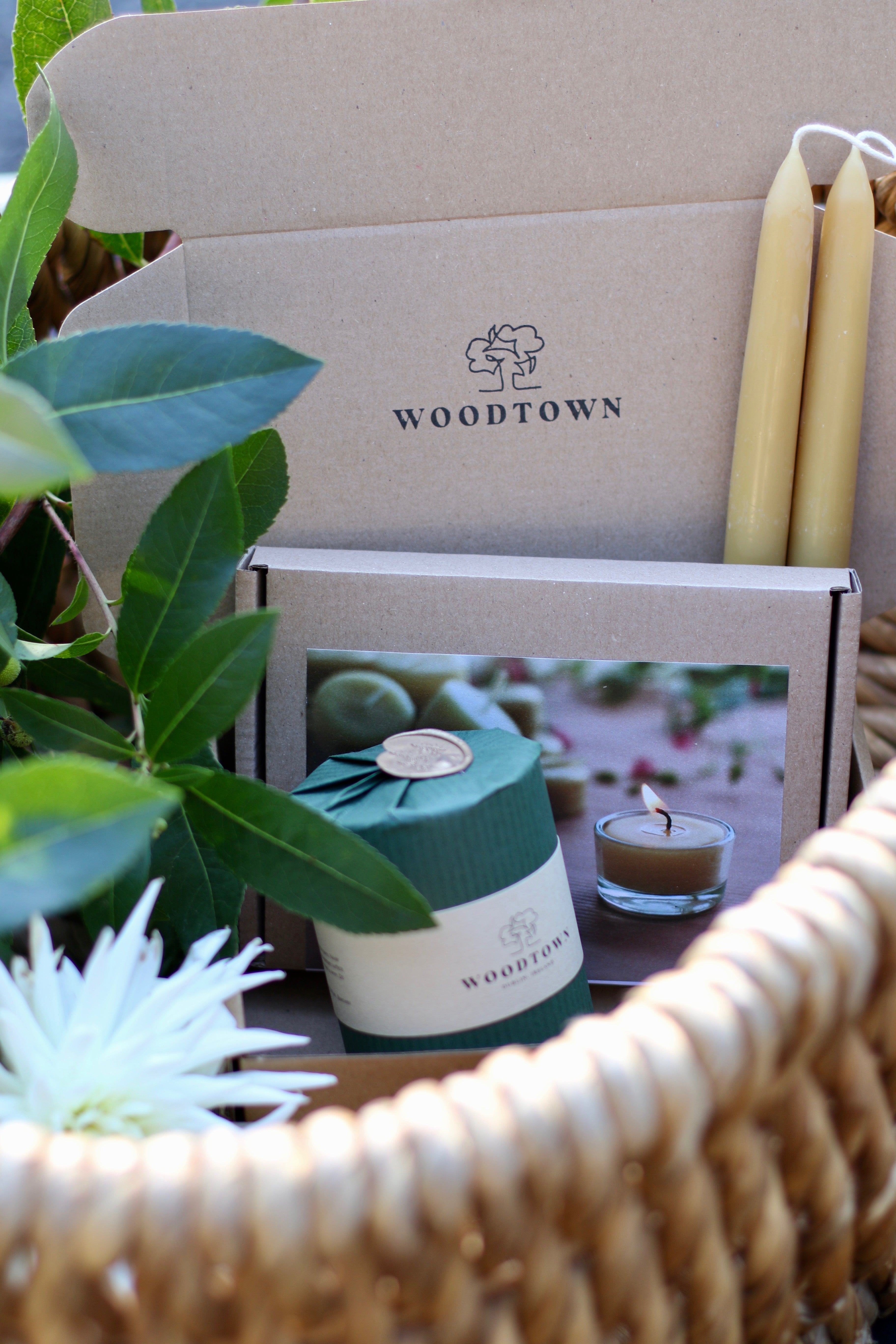 Get to Know Beeswax Gift Set