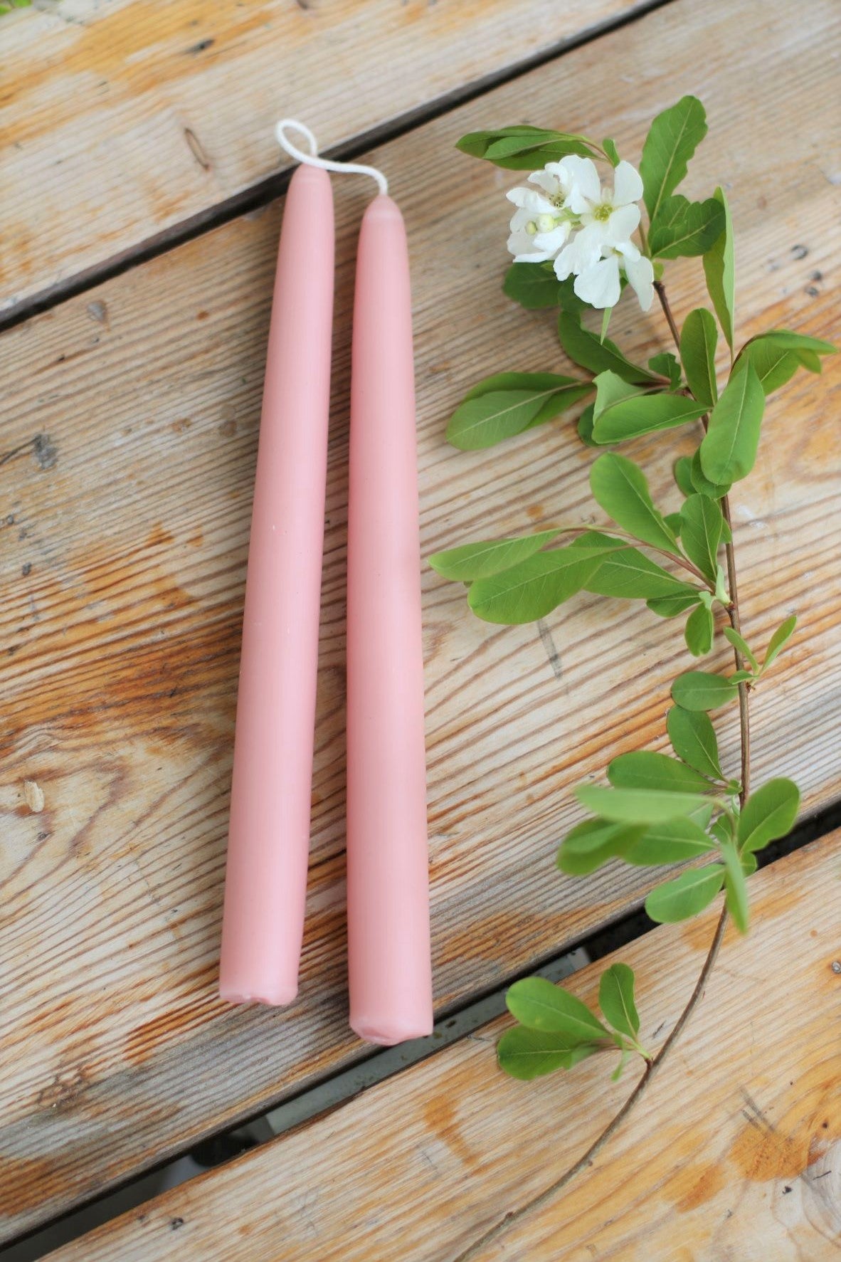 Dinner Candles Rose