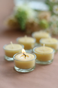 6 beeswax tea lights on a dusty pink surface with blurred greenery in the background. Pure beeswax tea lights